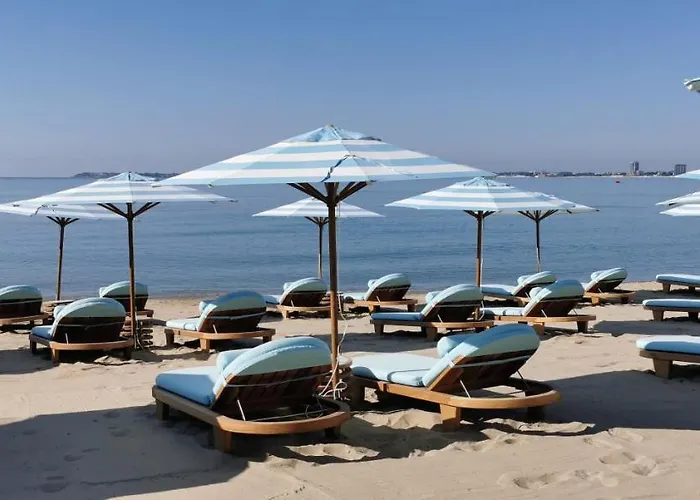 Beachfront Smart Homes By Marty's